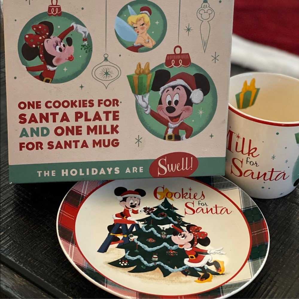 Disneyland plate/cup